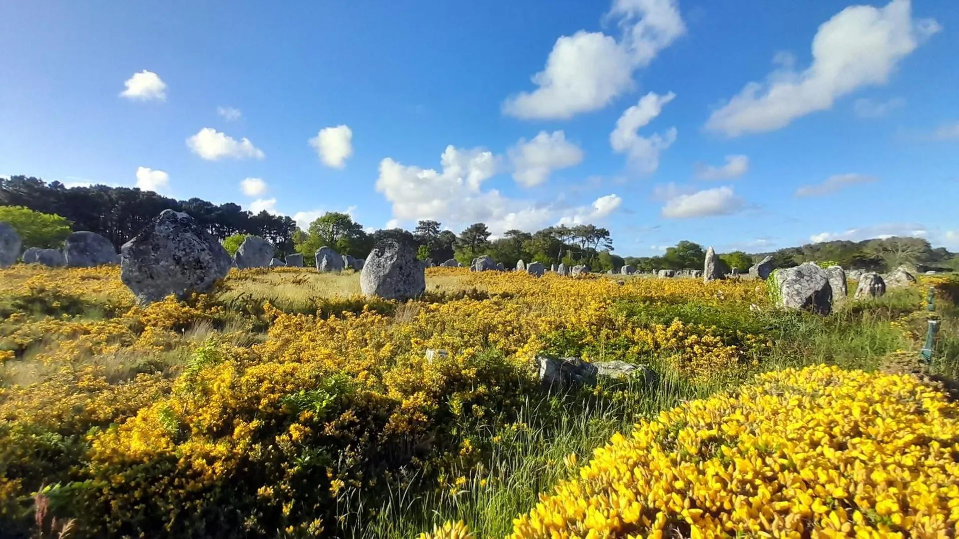 Port En Dro Mer Et Maisons Carnac França